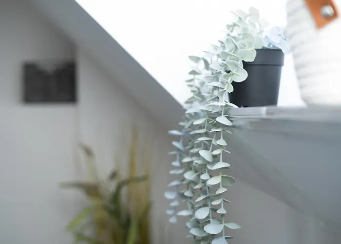 Doemeland * Dahme (Schleswig-Holstein)